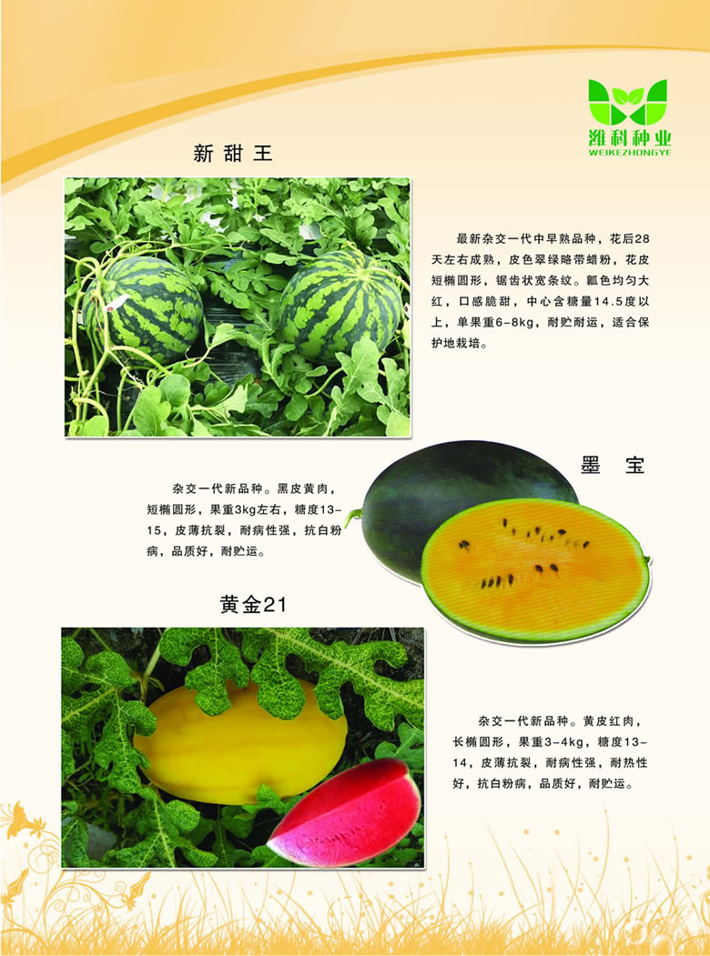 寿光市潍科种业科技有限公司第二十届中国（寿光）国际蔬菜科技博览会欢迎您的到来
